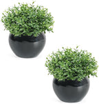 Velener Fake Sage Plants for Shelf Decor, Small Artificial Succulents Grass Desk Plant for Office Women, Mini Faux Plant Indoor, Masculine Home Decor, Coffee Table Decor, Bathroom Decor (2 Pack)