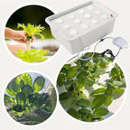 NATGAI Hydroponic System Growing Kit with Air Pump 12 Holes Soilless Cultivation Grow Box Garden Cabinet Box for Herbs, Lettuce, Vegetables
