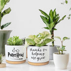 Teachers Appreciation Gift, 3.5 inch Ceramic Succulent Cactus Planter Pots for Indoor Outdoor, Thank You Gift for Mom Teacher Plant Lover Birthday Christmas Teacher's Day (No Plants)