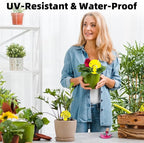 36PCS Fruit Fly Sticky Traps Fungus Gnat Traps Insect Trap for Plants Kitchen Indoor Outdoor White Flies Mosquitos Fungus Gnats Flying Insects Houseplant Gifts (Mushroom Shape)
