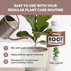 Root Stimulator for Fiddle Leaf Fig – Liquid Root Supplement with Kelp & Probiotics for Stronger Roots & Better Leaf Growth, 8 oz