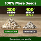 HOME GROWN Organic Marketmore Cucumber Seeds 200+ Heirloom Non-GMO Seeds for Planting, High Germination, Hardy & Vigorous Slicing Cucumber, Trellis & Raised Bed Garden (Cucumis sativus)