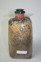 Root Mushroom Farm- Mushroom Liquid Cultures/Yellow Morel(Morchella esculenta)