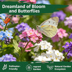 5600+ Forget Me Not Seeds for Planting, Easy to Grow Blue Forget-Me-Not Flowers, Perennial Wildflower Seeds for Ground Cover, Borders & Pollinator Gardens