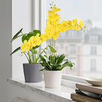 4PCS Faux Orchid Artificial Flowers, 35inch Long Stem Phalaenopsis Branches，Fake Orchid Flowers for Tall Vase Home Wedding Party Decoration (Yellow)