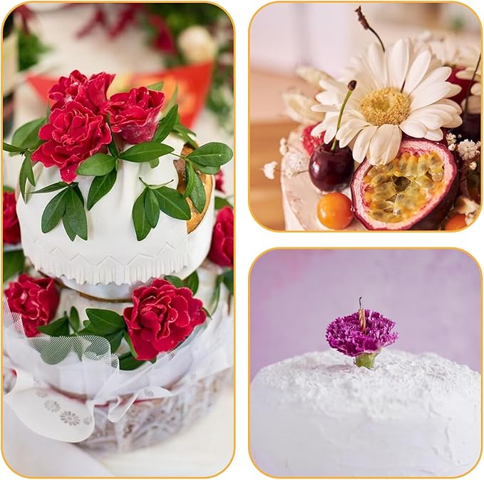 Sliverdew 30 Pcs Plastic Flower Stems Tube Holder Fresh Flower Cake Spikes Pointed End Flowers Arrangement Holders for DIY Valentine's Day Crafts