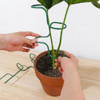 Set of 3 Sturdy Metal Plant Support Stakes for Indoor & Outdoor Use - Garden Trellis for Hydrangeas, Monstera, Flowers, Herbs, and Seedlings - Ideal for Small to Medium Plants