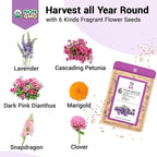 Flower Seed Pods for All Hydroponics Growing System, 8 Pods with 600+ Seeds of Marigold, Lavender, Petunia, Dark Pink Dianthus, Clover and Snapdragon