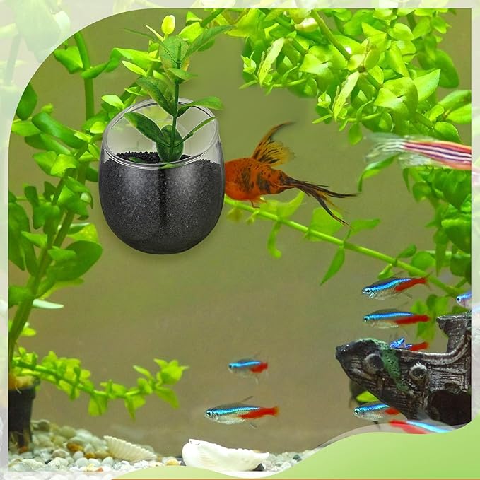Dandat 8 Pcs Aquarium Plant Holder Pot Clear Glass Aquatic Plant Cup with Suction Cups Aquarium Fish Tank Pots for Aquaponic Cultivation Water Feature Decoration