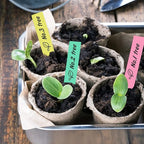 KINGLAKE Plant Labels,Plastic Plant Labels 4 Inch,Plant Tags,100 Pcs Nursery Garden Labels Plant Markers for Outdoor Garden Waterproof,Plants Name Tags Stake Tags Multicolored with Marking Pen