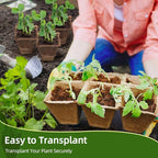 Seed Starter Tray,240 Cell Biodegradable Peat Pots Seed Starter Kit,Organic Germination Trays for Vegetable Flower Seedlings with 20 Plant Labels & 2 Garden Tools -20 Pack