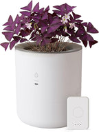 8 Inch Smart Self Watering Planter with WiFi Bridge & App Control – AI Plant Care System with Sensors, Automatic Watering, Alerts – Modern Indoor Planter for Houseplants | Cordless
