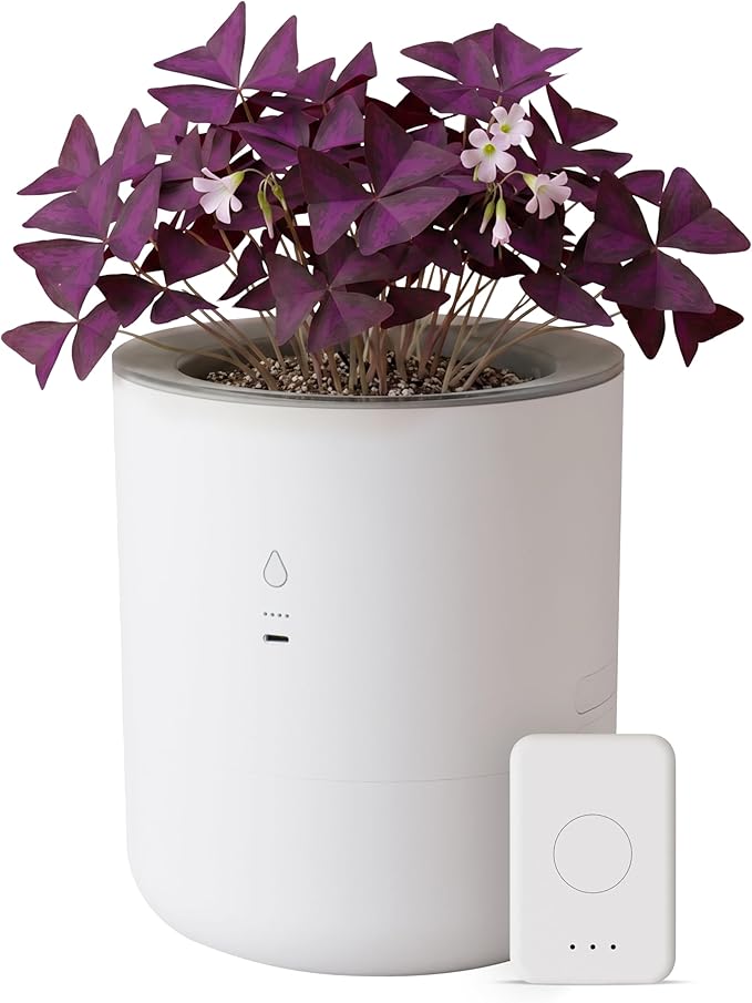 8 Inch Smart Self Watering Planter with WiFi Bridge & App Control – AI Plant Care System with Sensors, Automatic Watering, Alerts – Modern Indoor Planter for Houseplants | Cordless