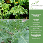 Siberian Kale Seeds for Planting – 1000+ Non-GMO & Heirloom Seeds by Isla's Garden Seeds, Brassica Napus, Cold-Tolerant Leafy Green, Fast-Growing Vegetable, Great Gift for Home Gardeners