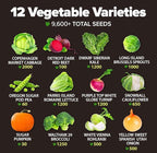 HOME GROWN 12 Fall Vegetable Seeds 9600+ Heirloom Non-GMO, High Germination, Cold Hardy Frost Tolerant Cool Season Garden, Beets, Kale, Cabbage, Peas, Broccoli, Lettuce, Onions (12 Varieties)