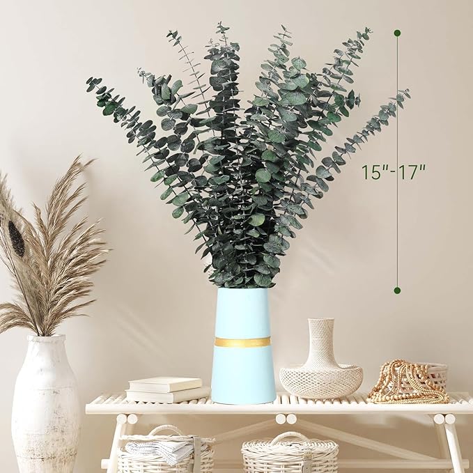 30 Pcs Dried Eucalyptus Stems for Shower, 17'' Natural Real Live Eucalyptus Leaves Branches Hanging Shower Plant for SPA Home Fragrance Bathroom Table Vase Décor