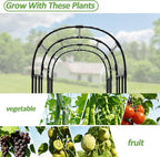 Garden Arch Trellis - 47"L*71"W*87"H, Rust-Proof Grape Trellis with Thickened Steel Pipe, Garden Arch Trellis for Climbing Plants Outdoor, Tunnel Trellis for Cucumber, pumpkin,Squash, Melon