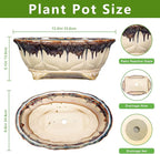 Ceramic Bonsai Pots - 13.2 Inch Succulent Planters for Indoor Plants Outdoor, Bonsai Tree Pots with Drainage Hole, Decorative Shallow Planter, Room Decor, Gifts for Men Women, Oval Beige-Brown