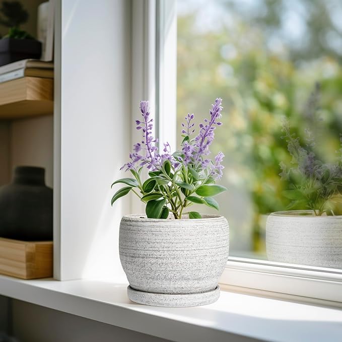 SQOWL Ceramic Planters for Indoor Plants - 6 Inch Plant Pot with Drainage Hole and Saucer, Small Ceramic Flower Pot, Round Decorative Planter Outdoor, Living Room Decor, Garden Gifts for Women, Gray