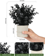 Velener 2 PCS Small Fake Eucalyptus Plant Artificial Potted Plants Indoor for Christmas Decor Indoor Realistic Faux Plant for Office, Bathroom, Living Room, Desk, Shelf, Home Decor (Black)