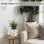 Beeveer Farmhouse Ceramic Planter 5.5 Inch Large Plants Pot Crack Beige Gray Flowers Plant Pots with Drainage Hole Indoor Plants Kitchen Rustic Antique Decor Gift