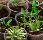 OUPSAUI 20 Pack 7 Inch Clear Nursery Pots for Plants, Clear Plant Pots with Drainage Holes, Flexible Plastic Nursery Pots Variety Pack, Seedling Planter Seed Starter Pots(7 INCH)
