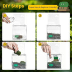 DIY Moss Terrarium Kit, 4 * 4 * 4 inch Acrylic Cube Mini Garden with Live Star Moss, Soil, Free Spirit-Craft Kit for Adults and Teens, Relaxing Desk Decor & Unique Gift for Home or Office