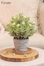 2 Pack Small Desk Plants, Artificial Bathroom Plants Decor with Flower in Vintage Melamine Pots, Faux Plants Indoor for Shelf Decor in Home Office, and Spring Decor (Ivory White)