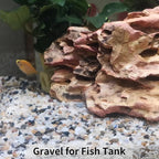 FANTIAN 2 lbs Natural Mixed Color Pea Gravel Pebbles, 3/8 inch Decorative Rocks for Succulents, Pebbles for Indoor Plants, Vases, Aquarium Gravel, Top Dressing, Outdoor Decorative Stones