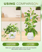 eZAKKA 17.3in Small Trellis for Potted Plants, Trellis for Climbing Plants Indoor Vine Ivy Flower Support with 2PCS Crystal Suncatcher, Gold, Pattern 03