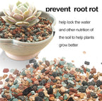 TOYPOPOR Mix Horticultural Lava Rock Pebbles Pumice Potting Soil Amendment Succulent Cactus Bonsai Gritty Rock Decorative Gravel Plant Drainage Volcanic for Terrarium Fairy Gardening Top Dressing 6lb