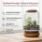 Exclusive Glass Terrarium, Beautifully Enhanced by a Natural Wood lid and Base. Excellent for Plants and Decoration, for Home or Office: Size: 8.7" Tall (22 cm) by 6.3" Wide (16 cm)