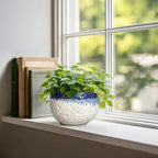 Ceramic Plant Pots - 6 Inch Orchid Pot for Indoor Outdoor Plants, Unique Pots for Plants with Drainage Hole and Plug, Modern Round Planter, Garden House Decor, Housewarming Gifts, Beige-blue