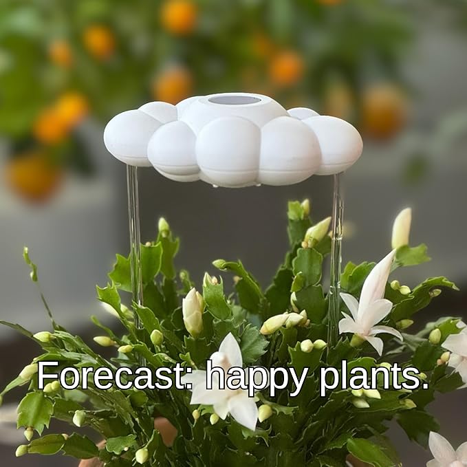 The Original Dripping Rain Cloud for Plants, Plant Watering Rain Cloud, Plant Lover Gifts, Plant Lady Gifts for Women, Plant Accessories