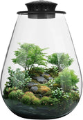 Mini Desktop Glass Plant Terrarium with Grow Light - Planter for Succulent Moss Miniature Gardening Landscape, Small Fish Tank, Indoor Plant Growth, Office Home Decoration, Plant Lovers Gifts