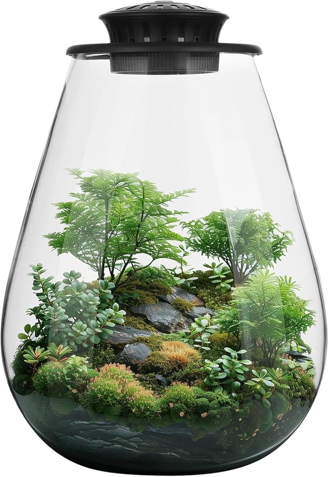 Mini Desktop Glass Plant Terrarium with Grow Light - Planter for Succulent Moss Miniature Gardening Landscape, Small Fish Tank, Indoor Plant Growth, Office Home Decoration, Plant Lovers Gifts