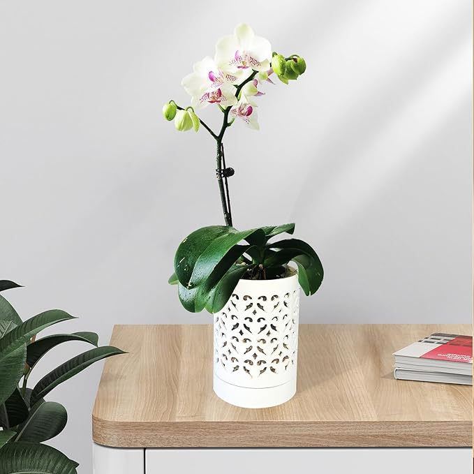 Orchid Pots with Holes 4 Inch 2 Pack, Ceramic Orchid Pot for Repotting with Saucers,More Ventilation Hole Easy Breathing, Plant Pot for Repotting Orchids, Green and White
