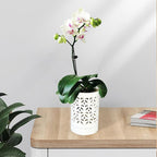 Orchid Pots with Holes 4 Inch, Ceramic Orchid Pot for Repotting with Saucers,More Ventilation Hole Easy Breathing, Plant Pot for Repotting Orchids and Other Flowers - Indoor/Outdoor