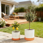 GreenShip Planter Set of 2 (9.8" & 7.8") – Cylinder Planters with Drainage Hole and Planter Saucer, Jun Porcelain Clay & Recycled Resin, Decorate Home,Office & Outdoor,White pots