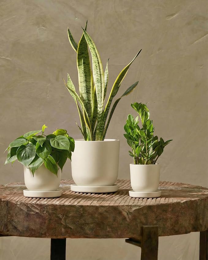 Bamworld Plant Pots Planters for Indoor Plants Flower Pots with Drainage Holes 5/6/7.5 Inch Set of 3 Plastic Planters for Outdoor Plants Garden Pots for Office Room Home Decor White