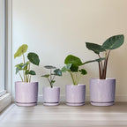 Ceramic Pots for Plants, 6 Inch Plant Pot for Indoor Outdoor Plants, Round Planter with Drainage Holes and Saucer, Boho Decorative Flower Pots, Apartment Decor, Plant Lover Gifts, Purple