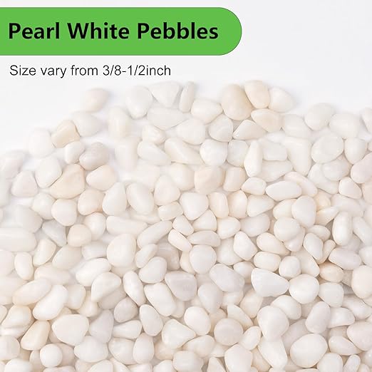 Pulovin 2.5 lbs White Pebbles for Vases, 3/8" Small Plant Stones for Pots Indoor, Pea Gravel for Succulents, Bamboo, Terrarium, High Polished
