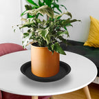 12 Pcs 6 Inch Round Plant Saucers for Less 5 Inch Pot Indoors Outdoors Plant Trays for Pots Planter Saucer Plastic Drip Tray Planter Water Tray (Black, 6"(12pcs))