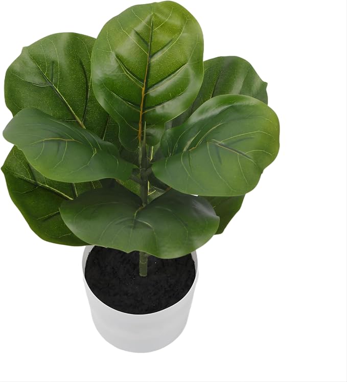 Alupssuc 1.5FT Artificial Fiddle Leaf Fig Tree with White Planter Pot, 1.5 feet Tall Fake Tree for Home Decor, Faux Ficus Tree Fake Moss for Indoor Outdoor Office Living Room