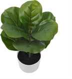 Alupssuc 1.5FT Artificial Fiddle Leaf Fig Tree with White Planter Pot, 1.5 feet Tall Fake Tree for Home Decor, Faux Ficus Tree Fake Moss for Indoor Outdoor Office Living Room