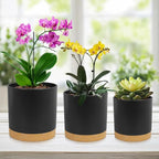 WSMKSZ 3 Pack 6/5/4 inch Cylindrical Flower Pots, Modern Small Round Plastic Plant Pots with Drainage Holes & Saucers, Clean and Refined Planter Pots for Outdoor, Indoor & Office Decor (Black Brown)