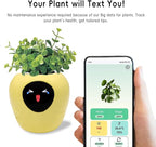 Smart Plant Pot with Expression, AI Intelligent Flower Pot for Indoor Decoration, Smart Garden Pot with Water/Light/Temperature Sensors, Ivy AI Planter (Yellow（Big）)