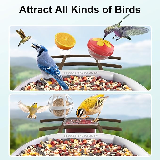 birdsnap® PAV-Bird Feeder with Camera,2K HD with 64GB Card, AI Identify Smart Bird House Cam Solar Panel,Live Stream,Motion Detection,Auto Record Video for Backyard Outdoors,Ideal Gift for Bird Lover