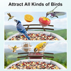 birdsnap® PAV-Bird Feeder with Camera,2K HD with 64GB Card, AI Identify Smart Bird House Cam Solar Panel,Live Stream,Motion Detection,Auto Record Video for Backyard Outdoors,Ideal Gift for Bird Lover