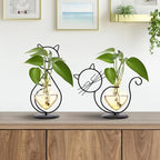 Plant Terrarium Plants Propagation Station Cat Lover Gifts for Women Home Office Decor Cat Desk Accessories